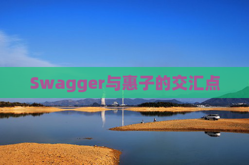 Swagger与惠子的交汇点